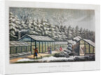 Forcing Garden in Winter by Humphry Repton