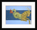 Constellation of Capricorn by Alexander Mair