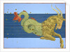 Constellation of Capricorn by Alexander Mair