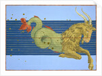 Constellation of Capricorn by Alexander Mair