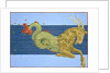 Constellation of Capricorn by Alexander Mair