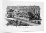 Luxury of Gardens by Humphry Repton