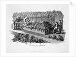 Luxury of Gardens by Humphry Repton