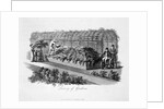 Luxury of Gardens by Humphry Repton