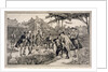The Old Physic Garden of the Society of Apothecaries at Chelsea by Thomas W Lascelles