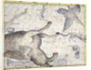 Constellation of Pegasus by Anonymous