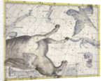 Constellation of Pegasus by Anonymous
