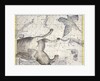 Constellation of Pegasus by Anonymous