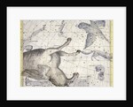 Constellation of Pegasus by Anonymous