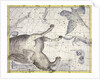 Constellation of Pegasus by Anonymous
