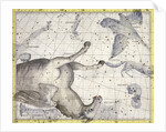 Constellation of Pegasus by Anonymous