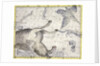 Constellation of Pegasus by Anonymous