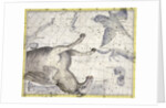 Constellation of Pegasus by Anonymous