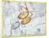 Constellation of Libra by Anonymous