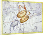 Constellation of Libra by Anonymous