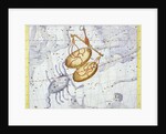 Constellation of Libra by Anonymous