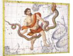 Constellation of Ophiucus by Anonymous