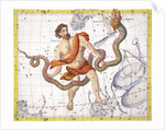 Constellation of Ophiucus by Anonymous