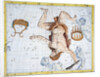Constellations of Hercules by Anonymous