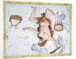 Constellations of Hercules by Anonymous