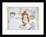 Constellations of Hercules by Anonymous