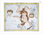Constellations of Hercules by Anonymous