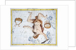 Constellations of Hercules by Anonymous