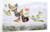 The Fairy Queen's Carriage by Richard Doyle