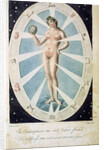 The female form with astrological symbols by Anonymous