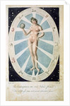 The female form with astrological symbols by Anonymous