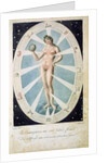 The female form with astrological symbols by Anonymous
