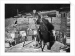 Commander Evans observing an Occulation of Jupiter by Herbert Ponting
