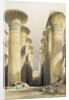 Central avenue of the Great Hall of Columns by David Roberts