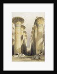Central avenue of the Great Hall of Columns by David Roberts