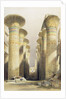 Central avenue of the Great Hall of Columns by David Roberts