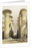Central avenue of the Great Hall of Columns by David Roberts