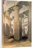 Hall of Columns by David Roberts