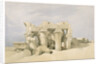Temple of Sobek and Horuss at Kom Ombo by David Roberts