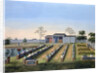 Nursery garden by Anonymous