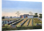 Nursery garden by Anonymous