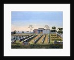 Nursery garden by Anonymous