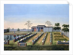 Nursery garden by Anonymous
