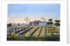 Nursery garden by Anonymous