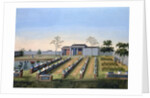 Nursery garden by Anonymous