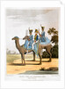 Rocket Corps and Dromedary Corps by Havell & Son