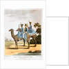 Rocket Corps and Dromedary Corps by Havell & Son