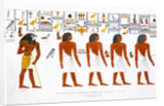 Murals from the Tombs of the Kings at Thebes by Charles Joseph Hullmandel