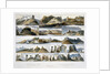 Remarkable Hills on the Upper Missouri by Friedrich Salathe