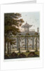 The Pheasantry by Joseph Constantine Stadler
