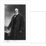 Rutherford B Hayes by Anonymous